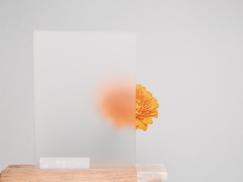 Broschüren und Kataloge, Corporate Design, Aktion 2022, Haustüren, PaXentrée Aluminium