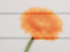 Broschüren und Dekorglas Sandstrahlmotiv Klarglas 2 Streifen horizontal. Kataloge, Corporate Design, Aktion 2022, Haustüren, PaXentrée Aluminium